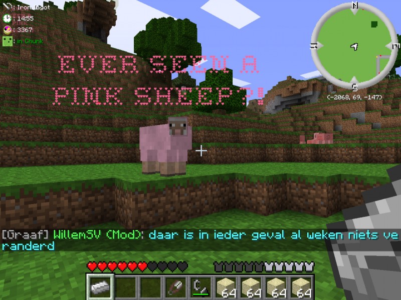 pinksheep.jpg